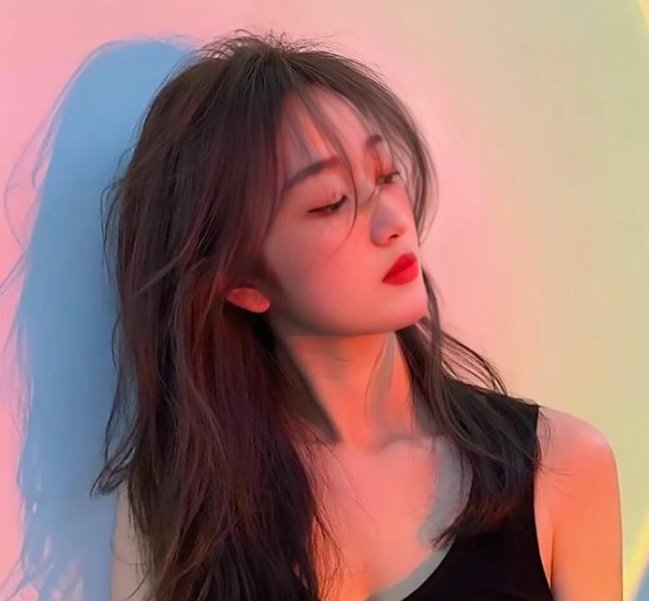 野良与皇女与流浪猫之心